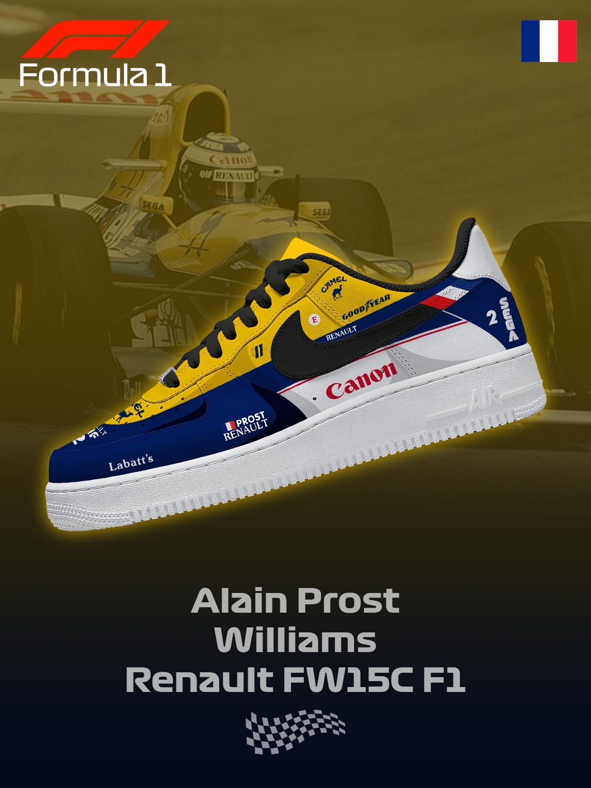 Custom Williams F.1 Shoes
